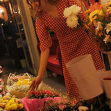 RED CHECKERED DRESS